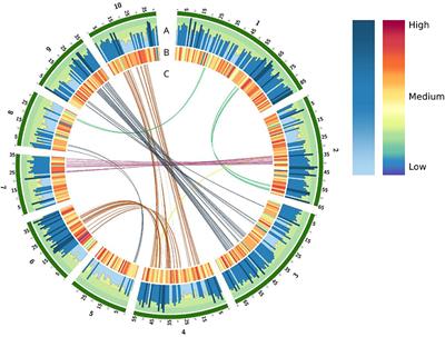 Unraveling the Genome of a High Yielding Colombian Sugarcane Hybrid